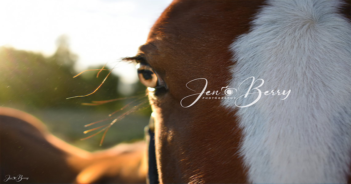 JBerry-Foals24M