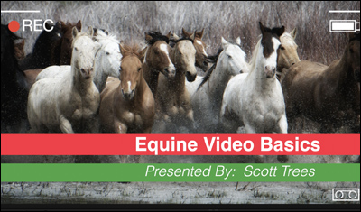 The Basics of Equine Videography