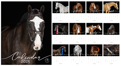 2025 Equine Portrait Calendar