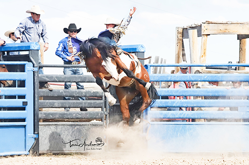 ProRodeo Photography Art 