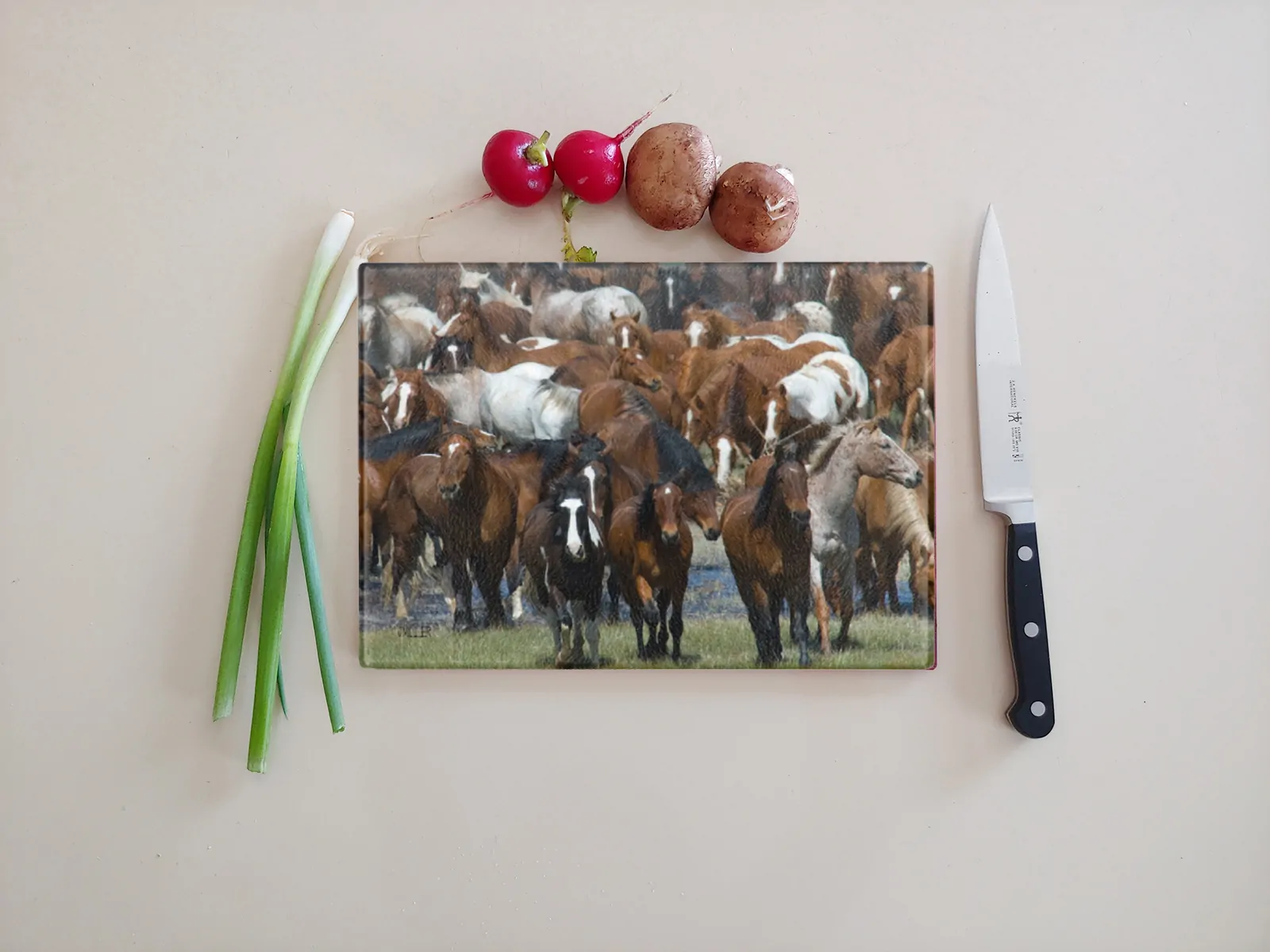 Equine Home Decor