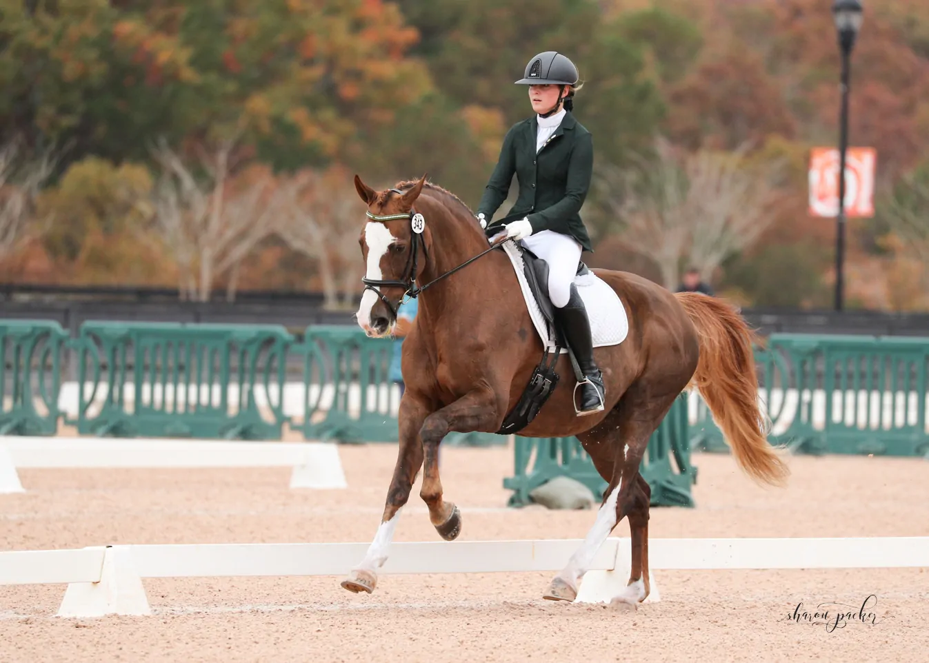 Capturing Correct Action Photos in Horse Show Photography