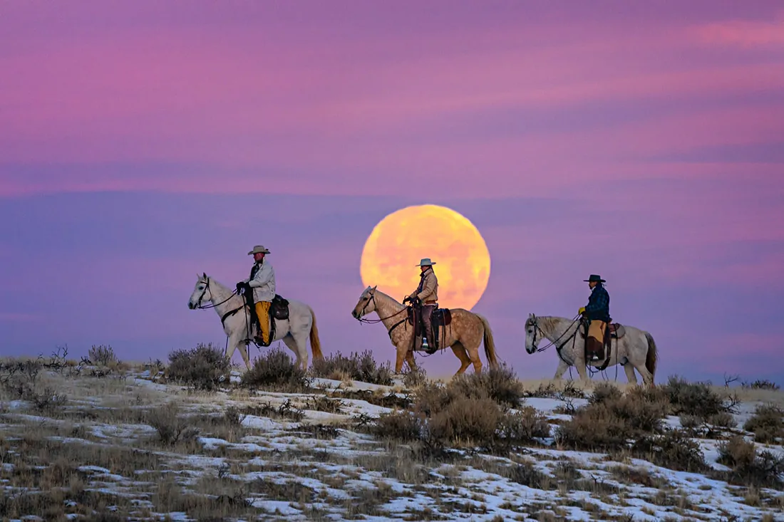 Winter at the Horse Ranch