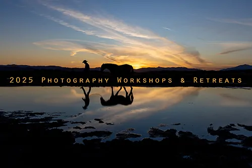 The Pegasus Equine Photography Workshop