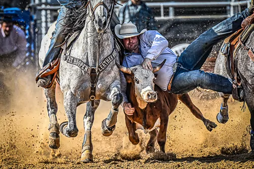 Rodeo Western Lifestyle Photography Workshop