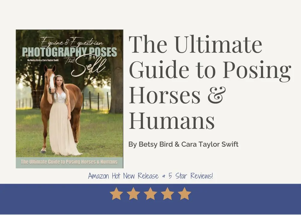 The Ultimate Guide to Posing Horses 