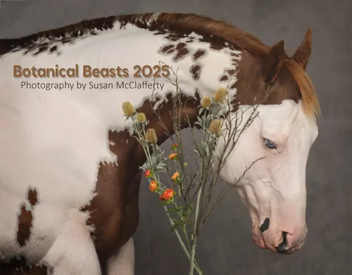 2025 Botanical Beasts Calendar