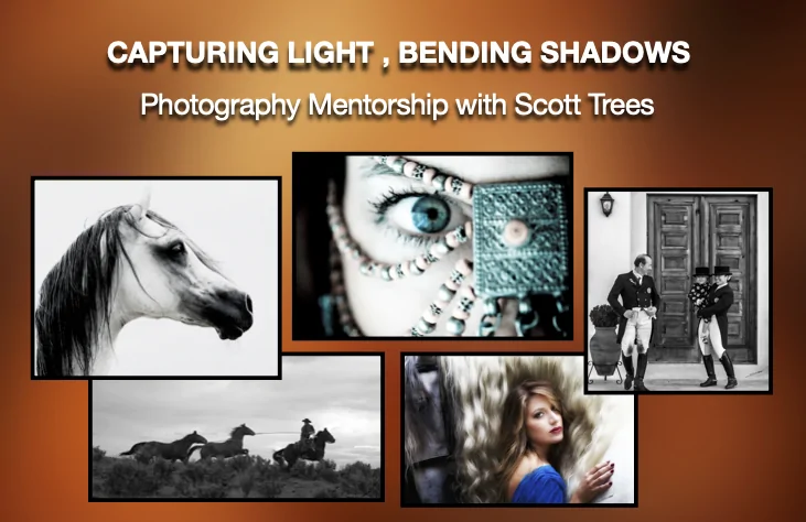 Capturing Light Bending Shadows Mentorship