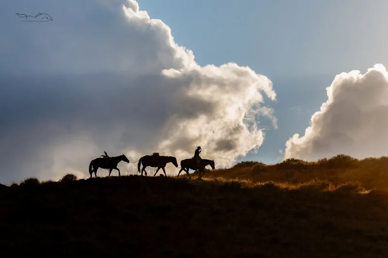 Cottonwood Ranch Intensive Photography Learning Experience